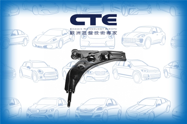 CS-313R