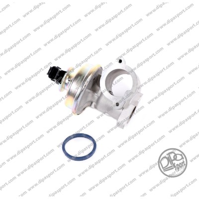 EGR216