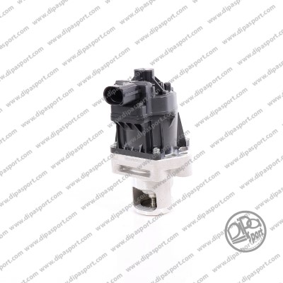 EGR246N