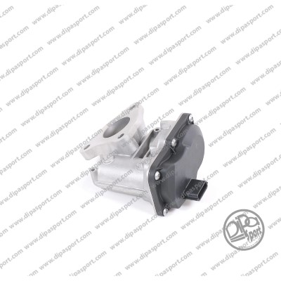 EGR244R