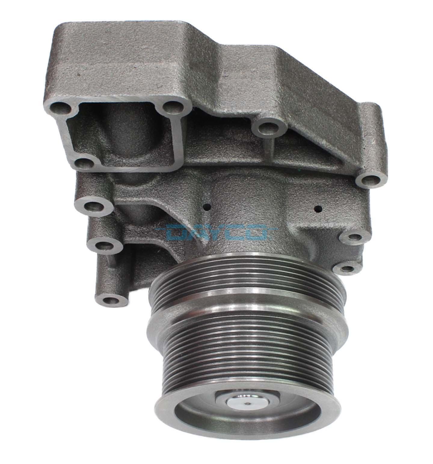 DP1446