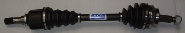 R419A