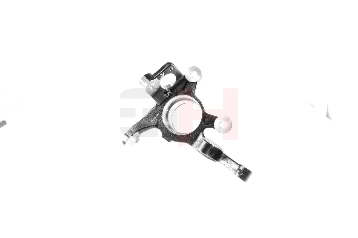 GH-294009V