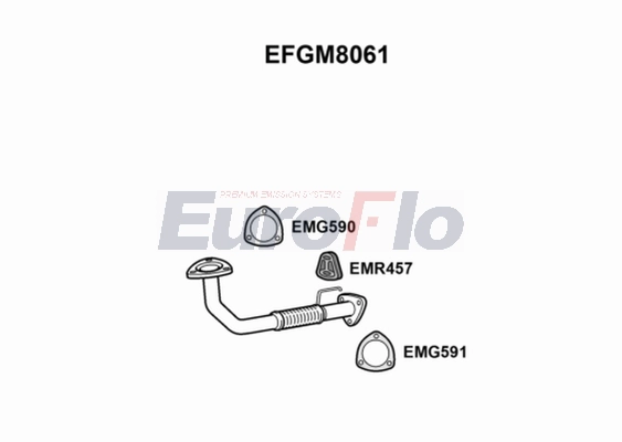 EFGM8061