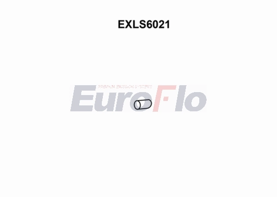 EXLS6021