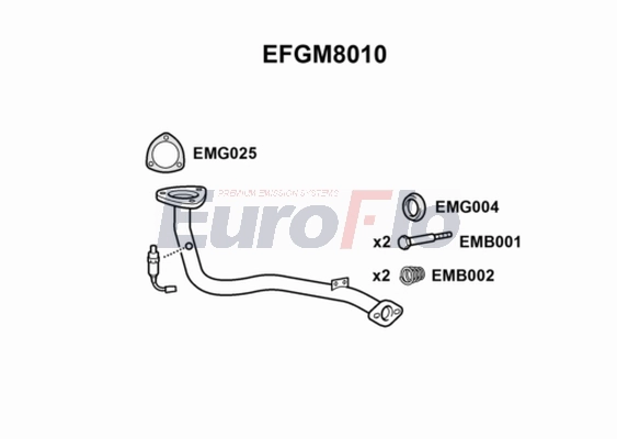 EFGM8010