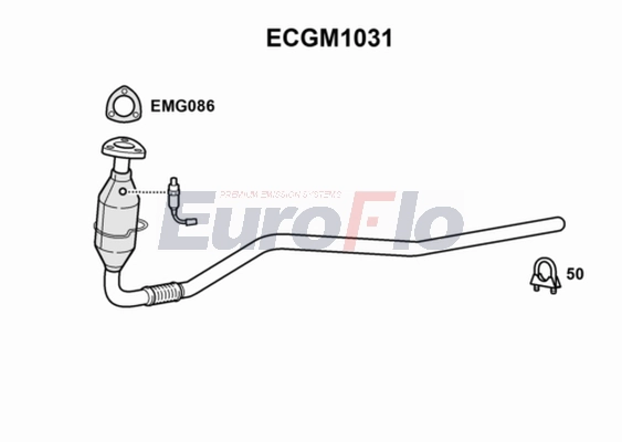 ECGM1031
