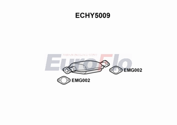 ECHY5009