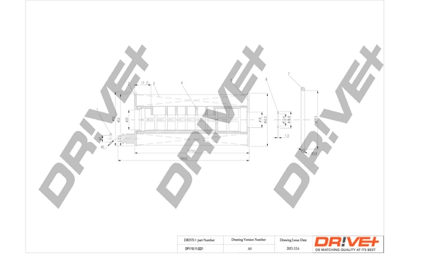 DP1110.11.0221