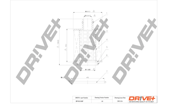 DP1110.11.0107