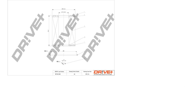 DP1110.11.0101
