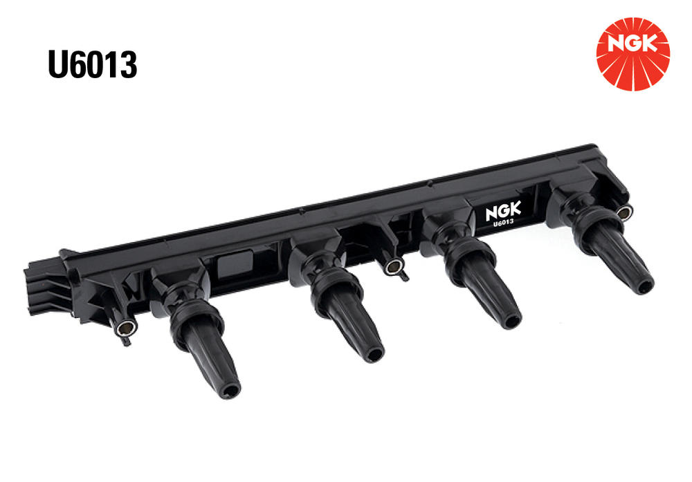 U6013