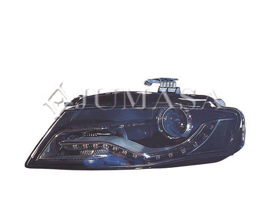 38020434
