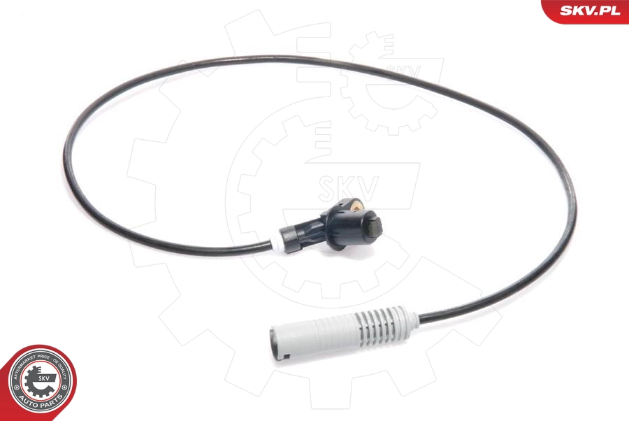 06SKV032
