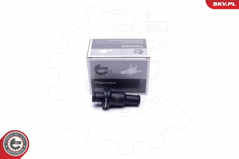 20SKV148