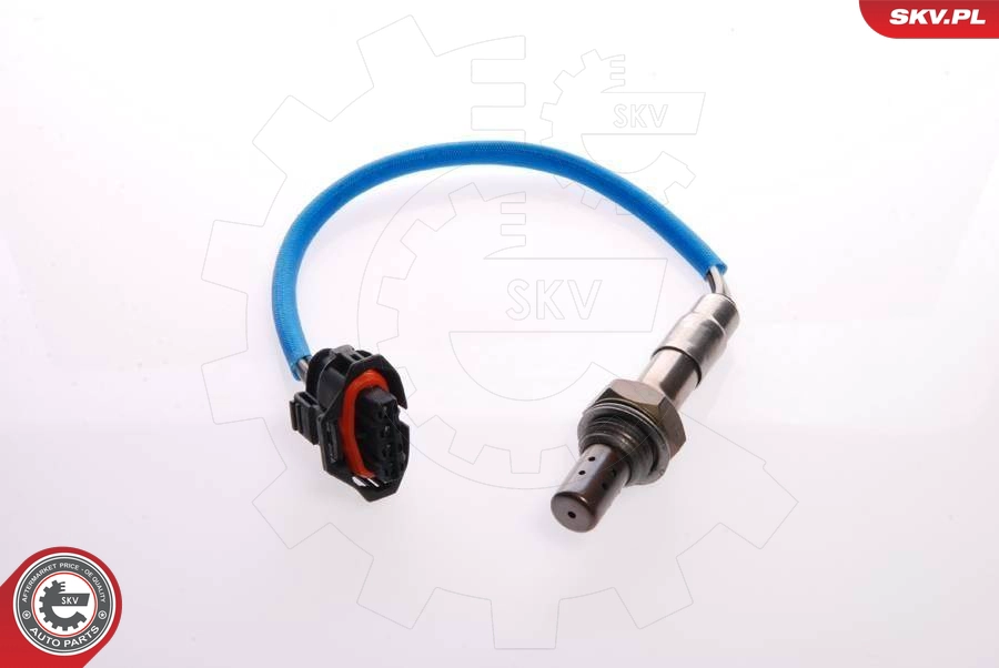 09SKV073