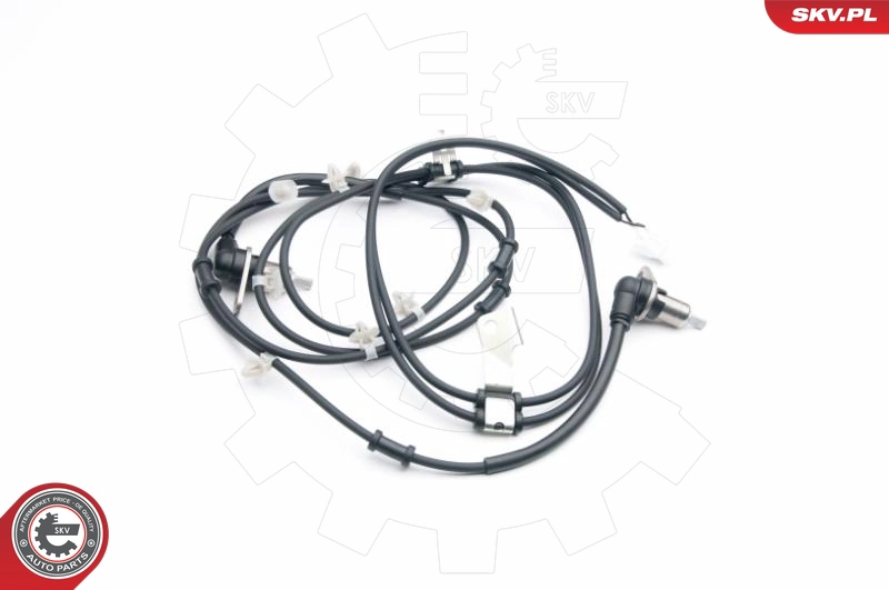 06SKV332