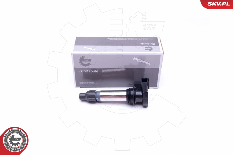 03SKV294
