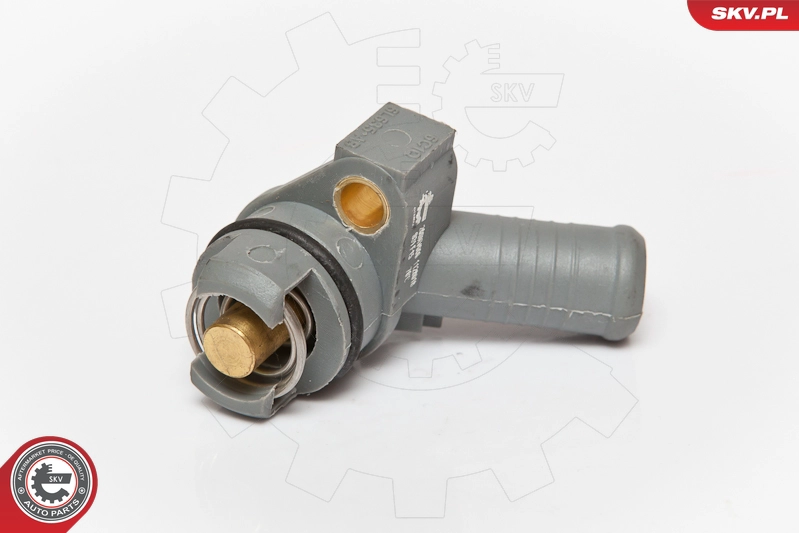 20SKV006