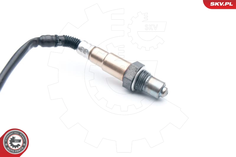 09SKV715