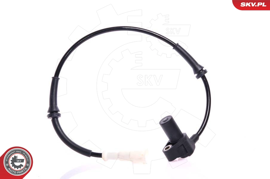 06SKV109