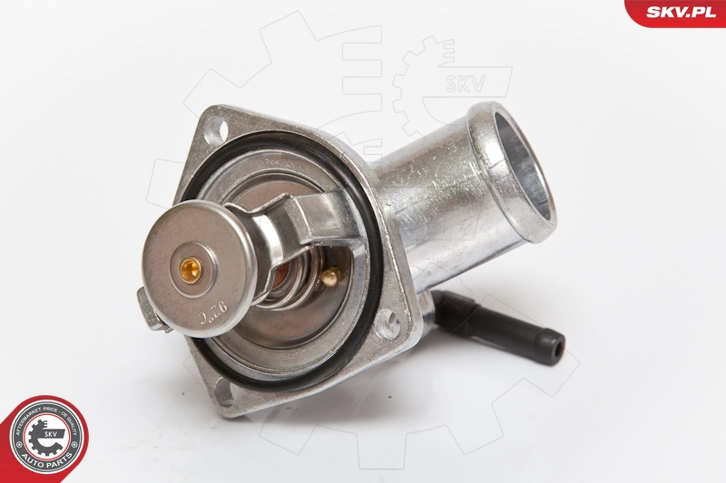 20SKV005