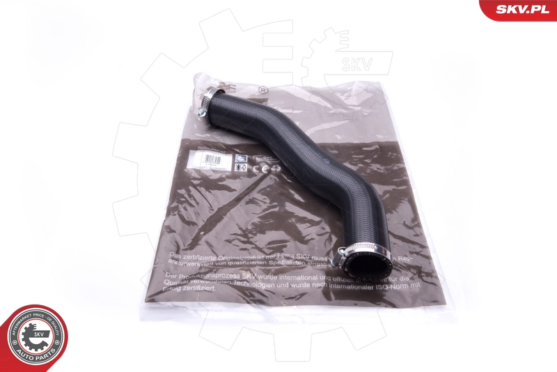 43SKV042