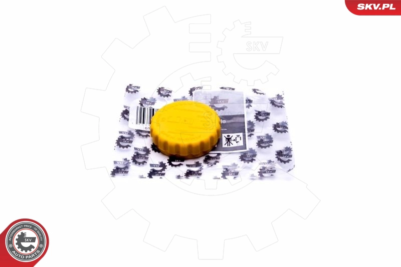 61SKV020