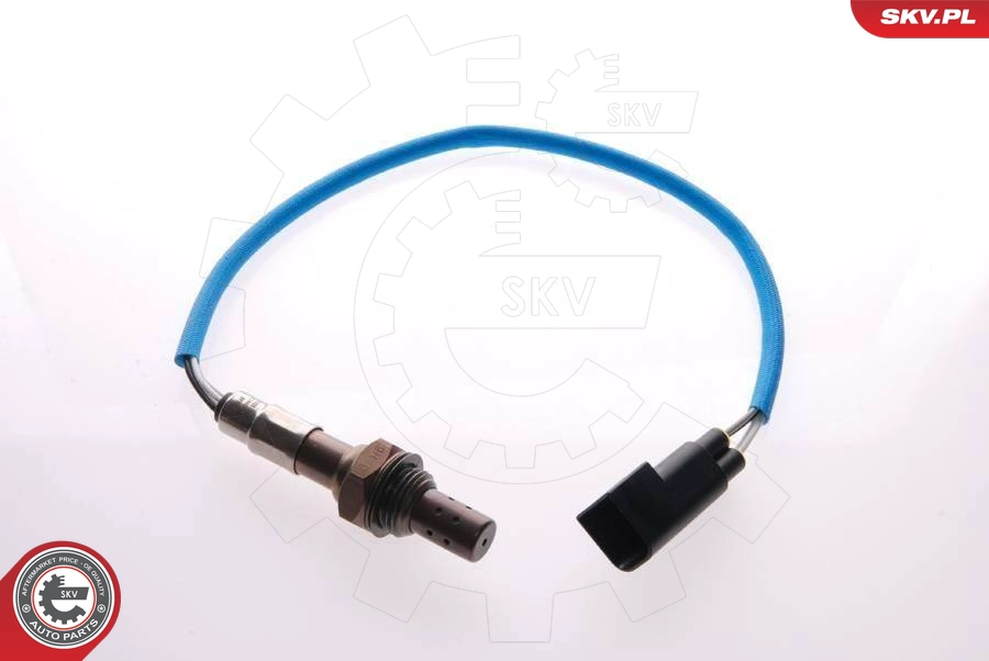 09SKV034