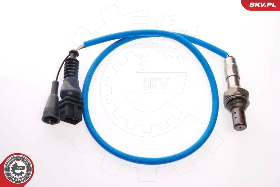 09SKV063