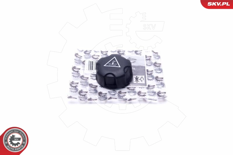 61SKV026