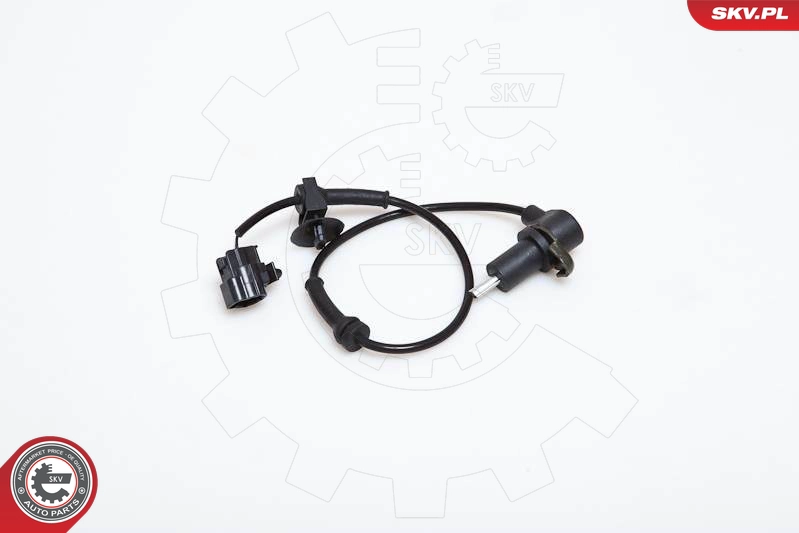 06SKV164