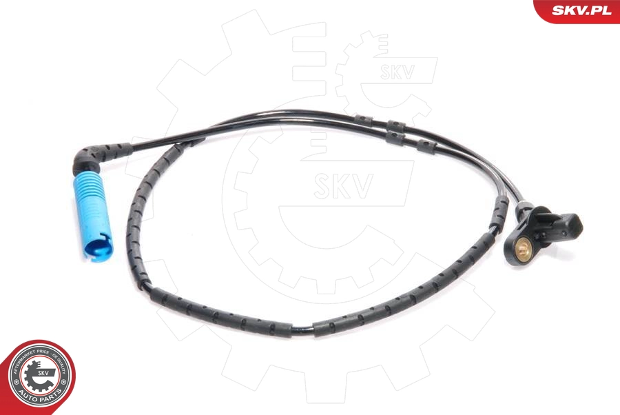 06SKV042