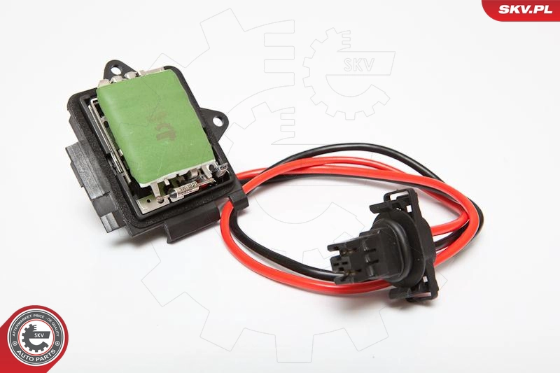 95SKV036