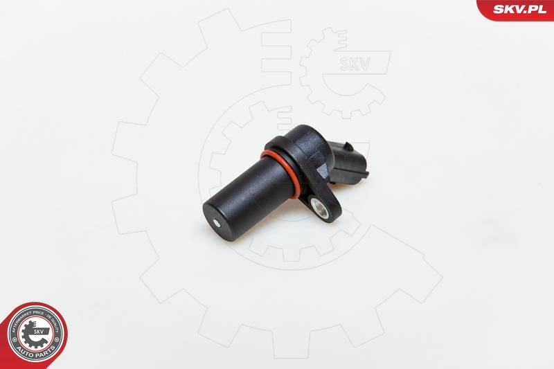 17SKV228