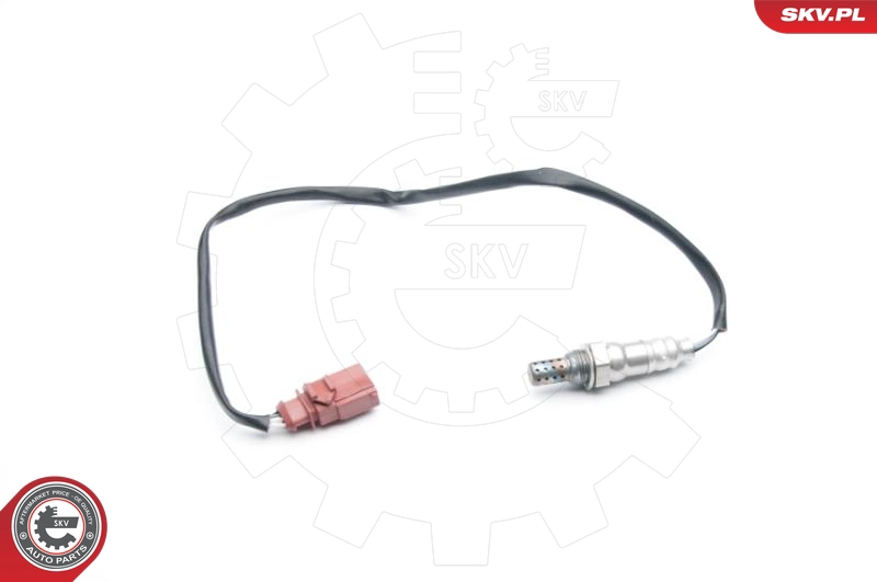 09SKV712