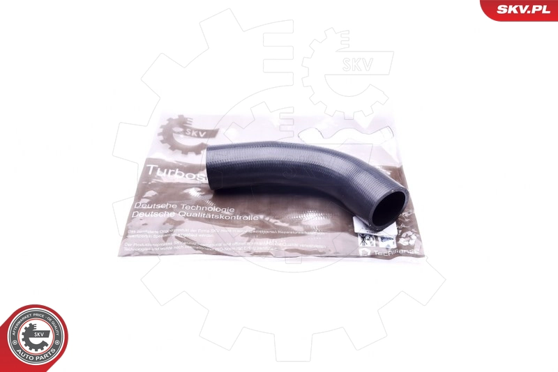 43SKV062