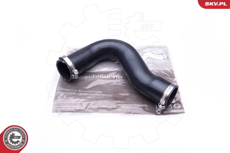 43SKV019