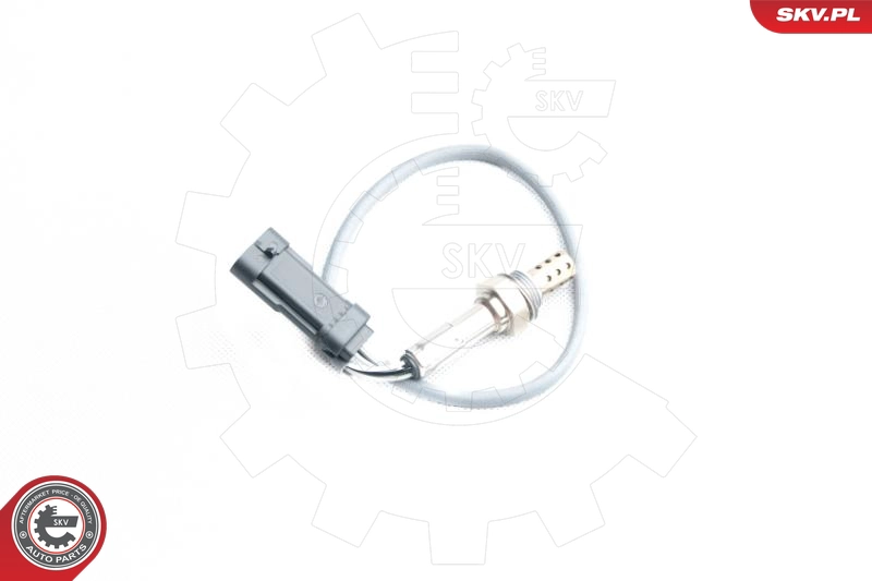 09SKV098