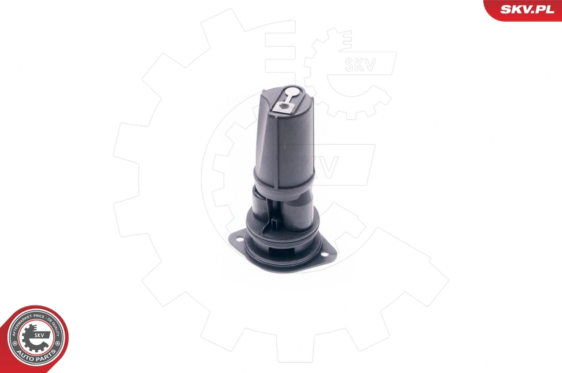 31SKV018