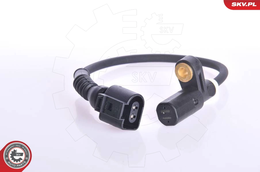 06SKV014