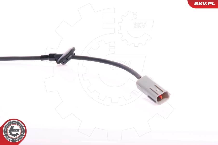 06SKV121