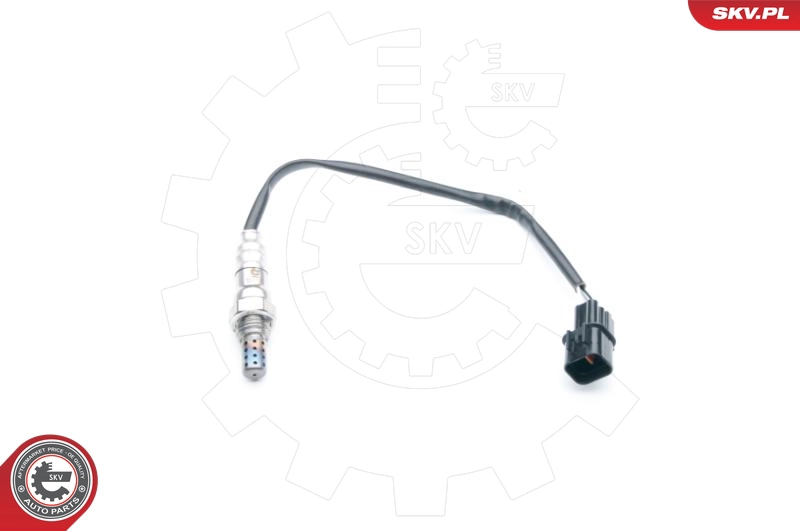 09SKV739