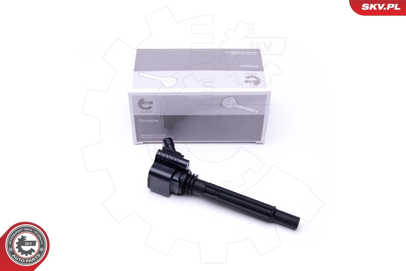 03SKV281