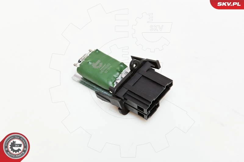 95SKV006