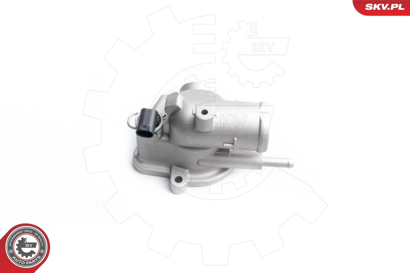 20SKV029
