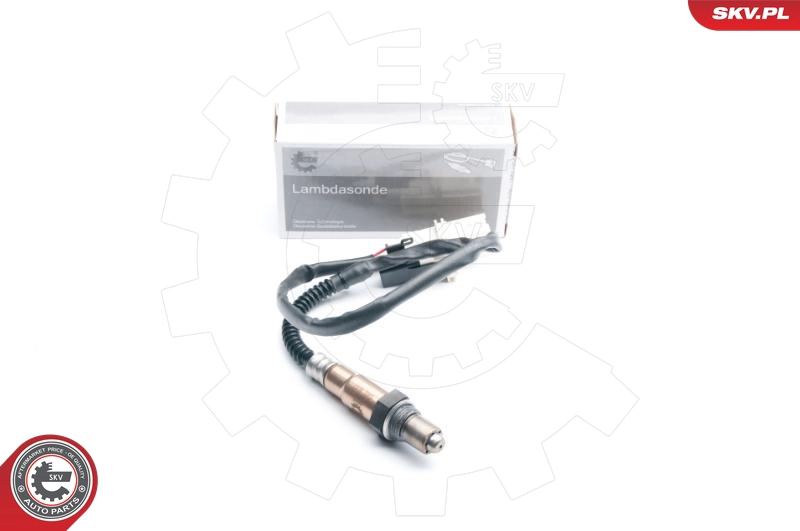 09SKV863