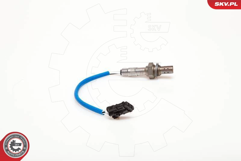09SKV047