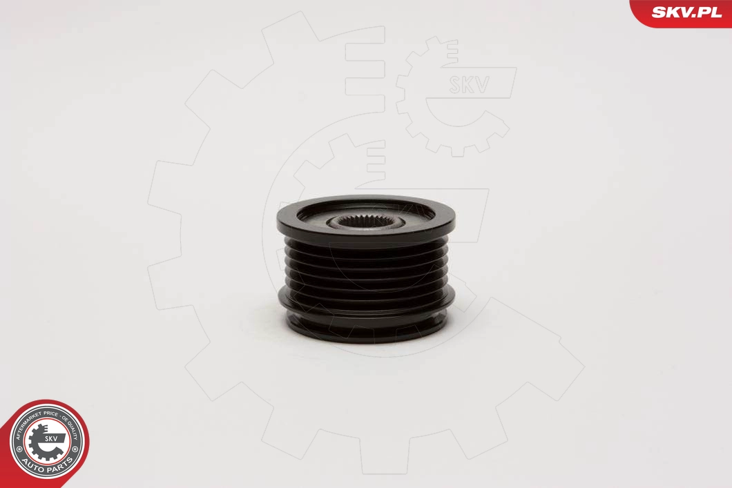 11SKV021