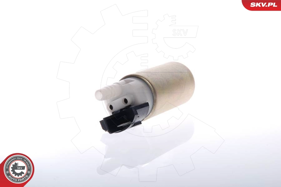 02SKV219